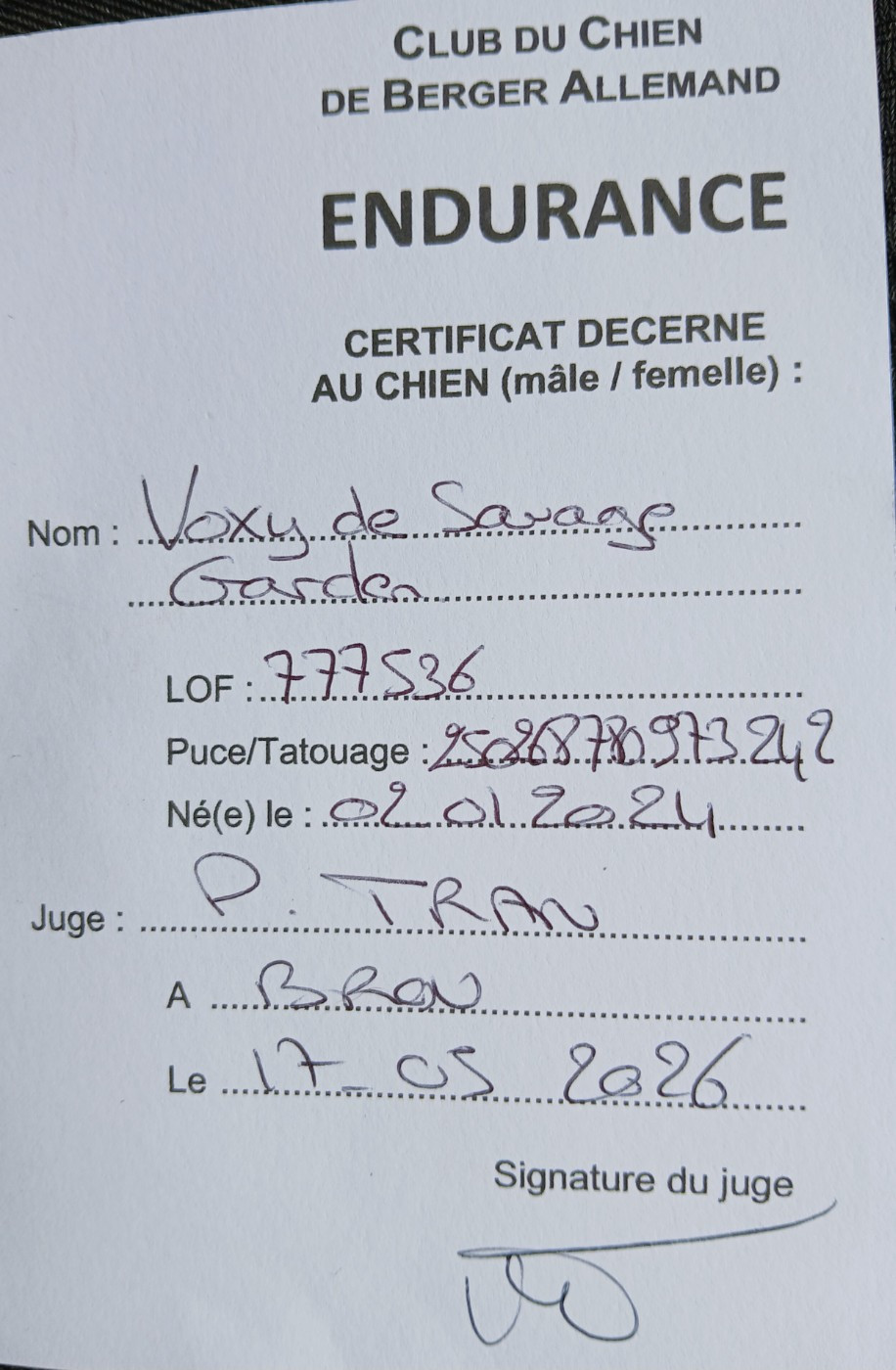 VOXY de Savage Garden à obtenu son BREVET ENDURANCE 20 kms le 17 Mai !!!