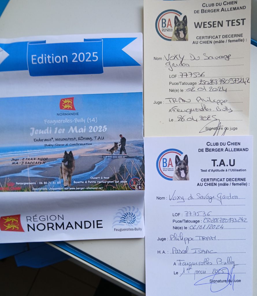 WESENTEST & TAU Ok pour VOXY !!!