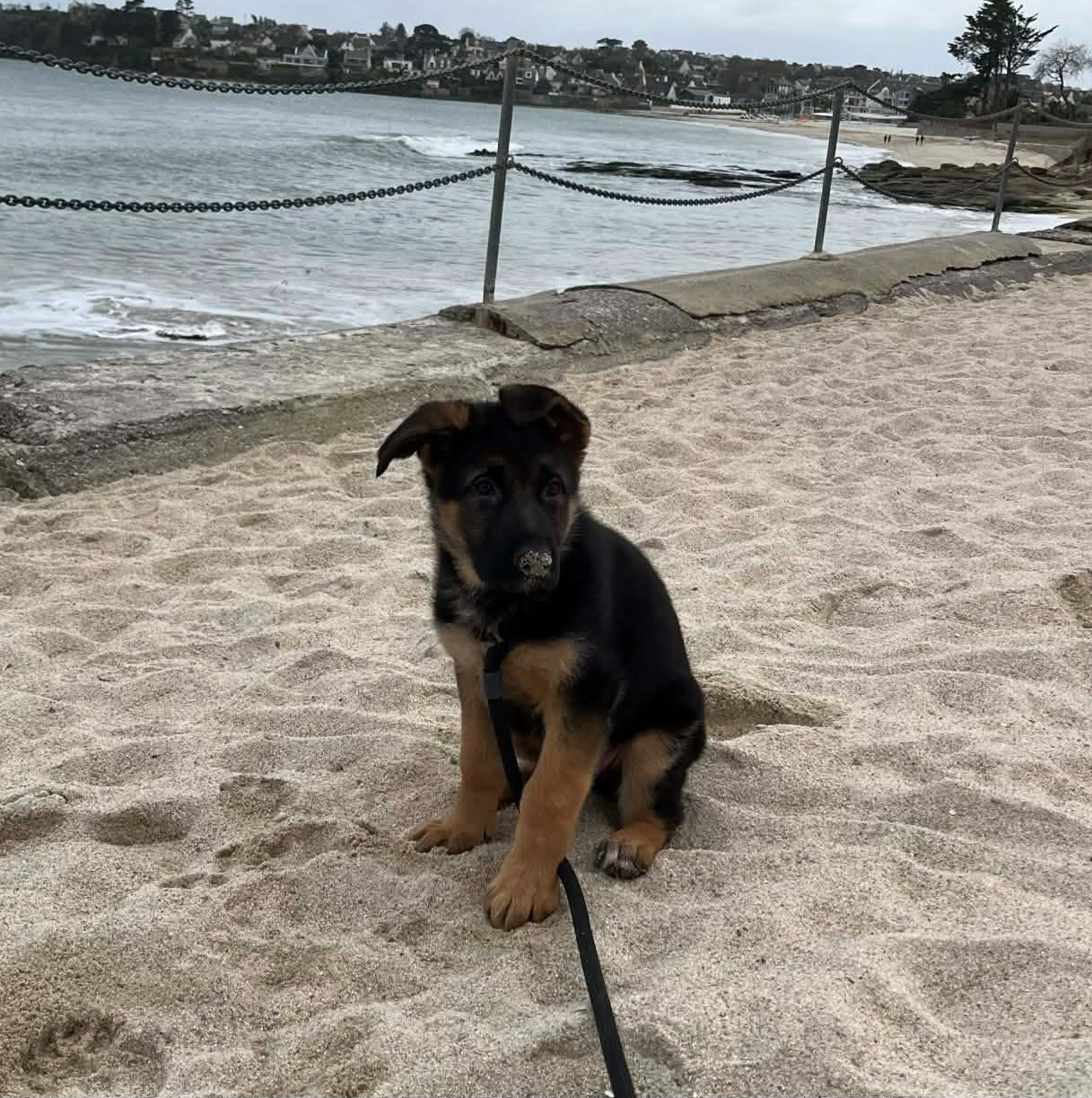 ASKA-BLUE de Savage Garden