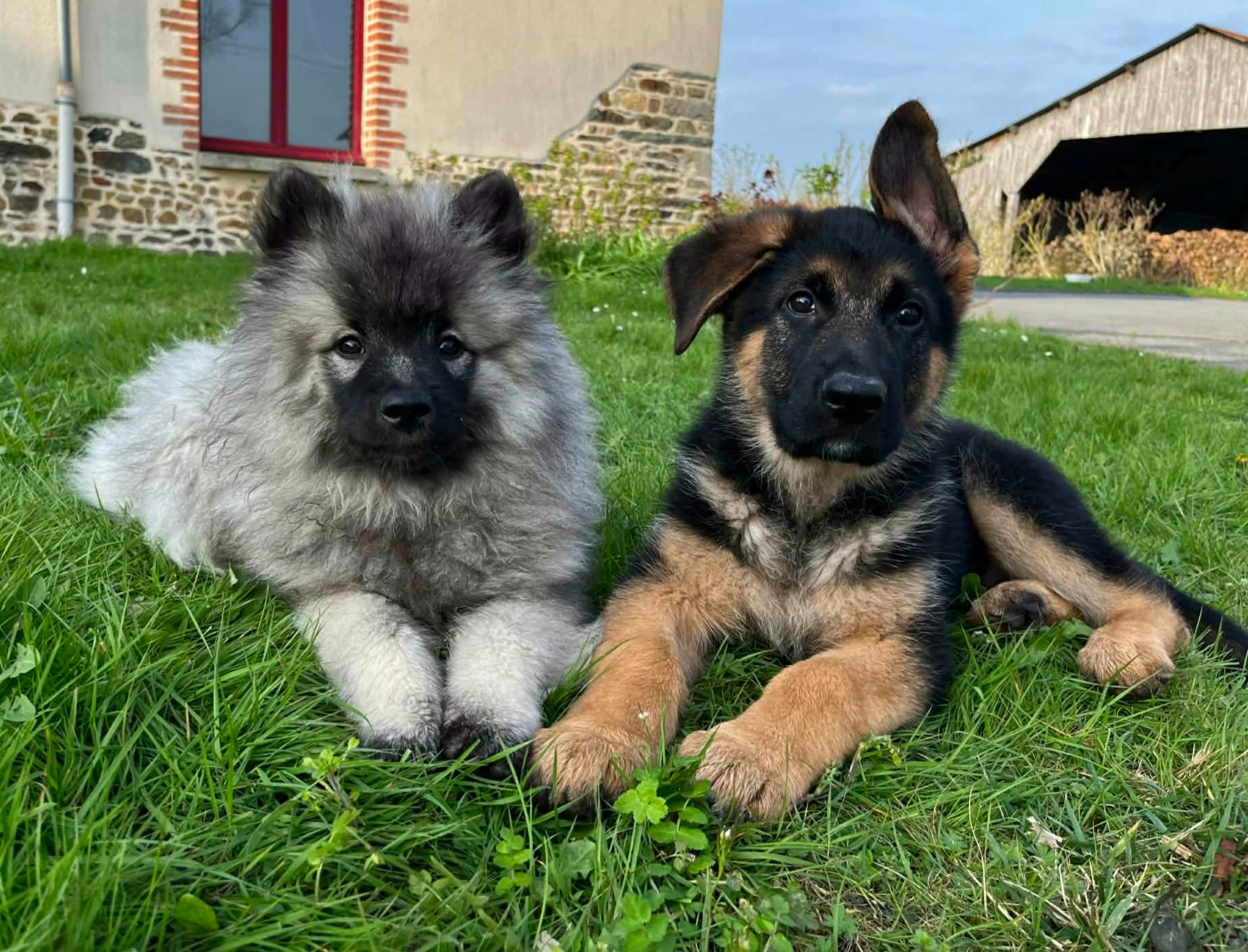 ATHOS II de Savage Garden