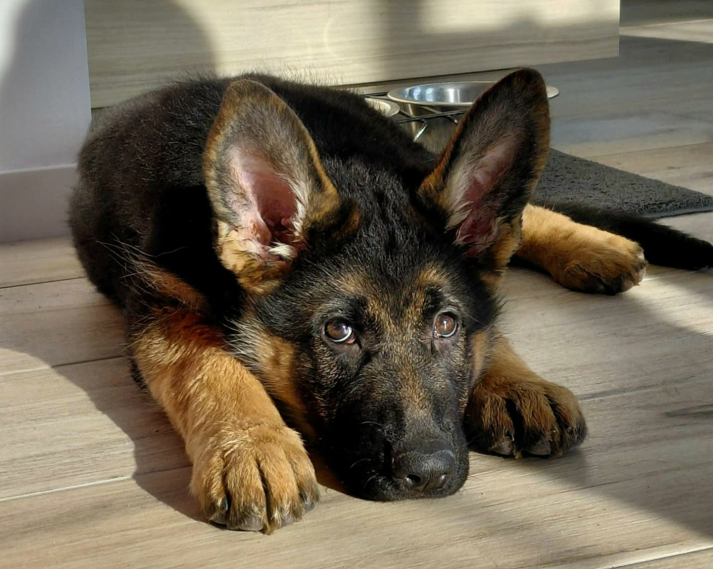 AIKA-BLUE de Savage Garden